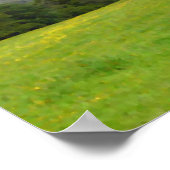 Poster Pré vert. Paysage rural. (Coin)