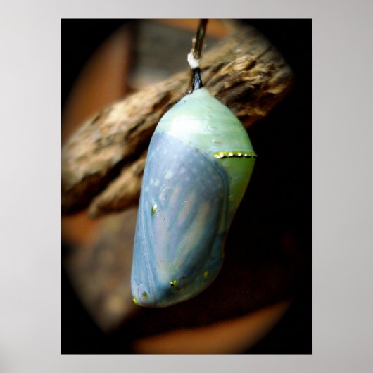 Poster Précipice (Devant)