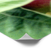 Poster Prélèvement d'Apple (Coin)