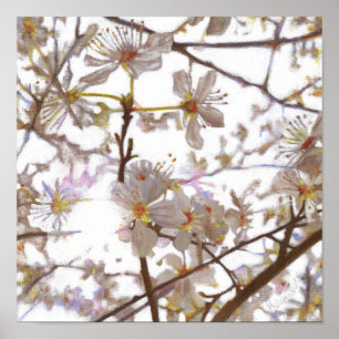 Poster Prélude 2014