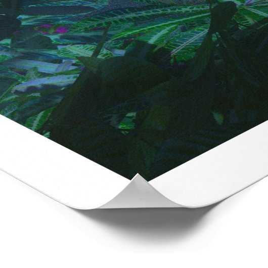 Poster Premier clair de lune (Coin)