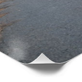 Poster Premier coucher du soleil du jour (Coin)