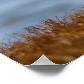 Poster Premier Rang (Coin)