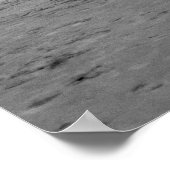 Poster Premier vol réussi de la circulaire Wright (Coin)