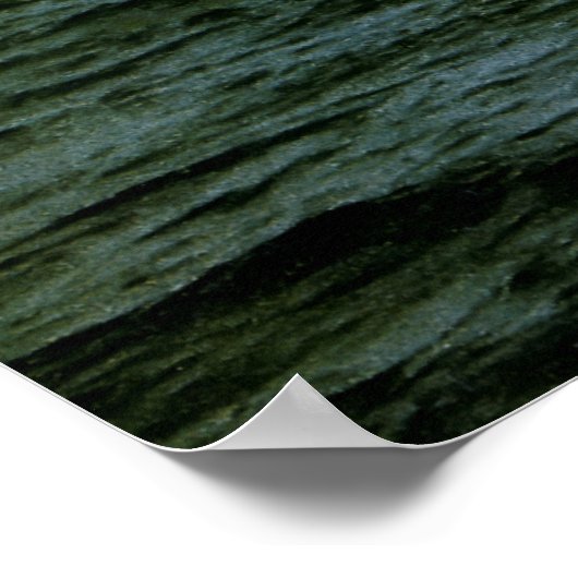 POSTER PREMIÈRE BATAILLE UTILISE TEXAS 1898 (Coin)