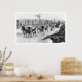 Poster Première équipe de chiens Alaska 1910 (Cuisine)