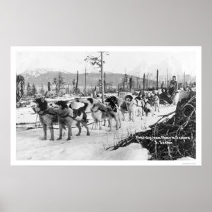 Poster Première équipe de chiens Alaska 1910