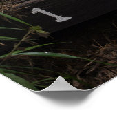 Poster Première étape invitations randonneurs en haut Kok (Coin)