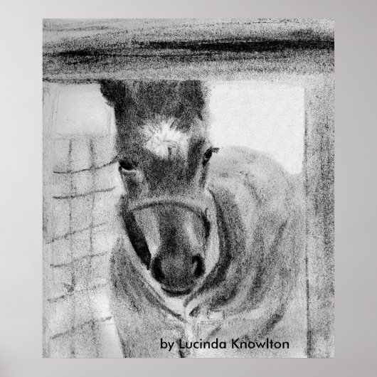 Poster Première fois, par Lucinda Knowlton (Devant)