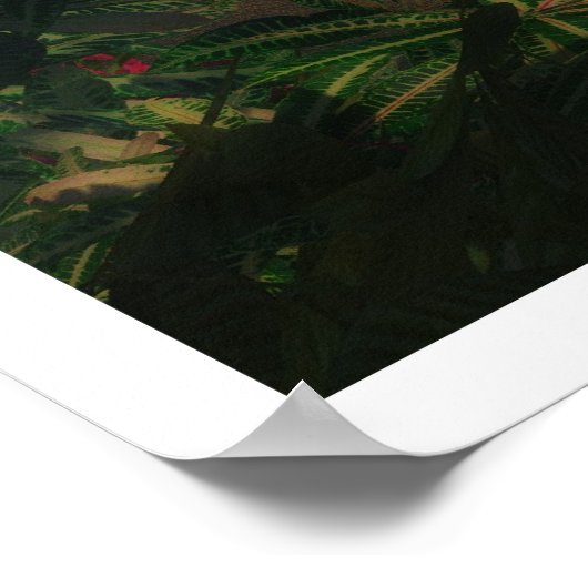 Poster Première lumière (Coin)