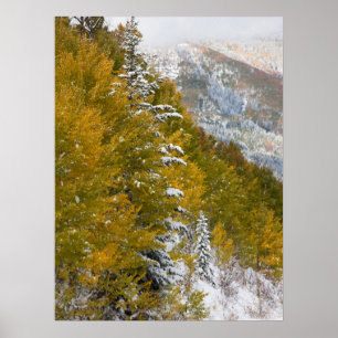 Poster Première neige