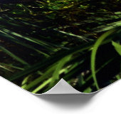 Poster Première pour la sécurité (Coin)