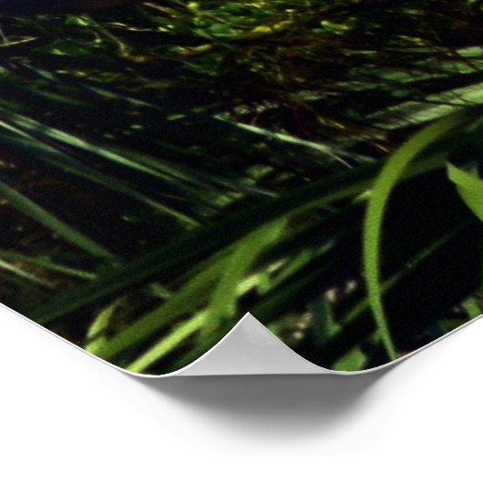 Poster Première pour la sécurité (Coin)