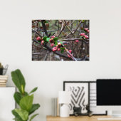 Poster Premiers bourgeons roses (Bureau à domicile)