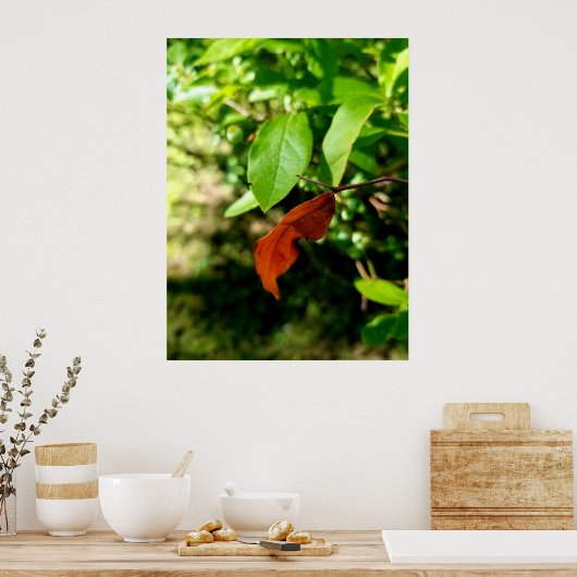 Poster Premiers signes de l'affiche d'automne Imprimer (Cuisine)