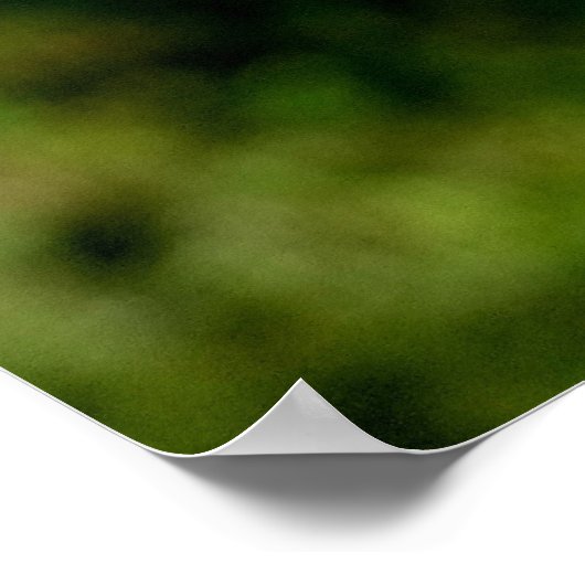 Poster Premiers signes de l'affiche d'automne Imprimer (Coin)