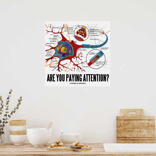 Poster Prends-Tu Attention ? (Neuron / Synapse) (Cuisine)