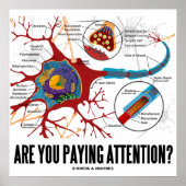 Poster Prends-Tu Attention ? (Neuron / Synapse) (Devant)