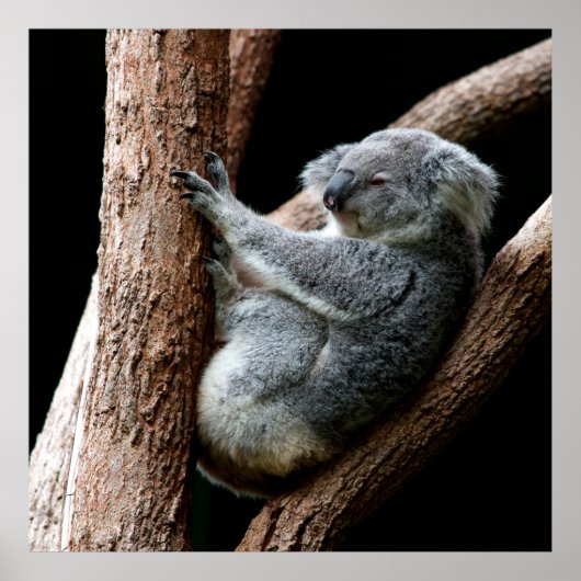 POSTER PRENEZ VOTRE TEMPS (Devant)