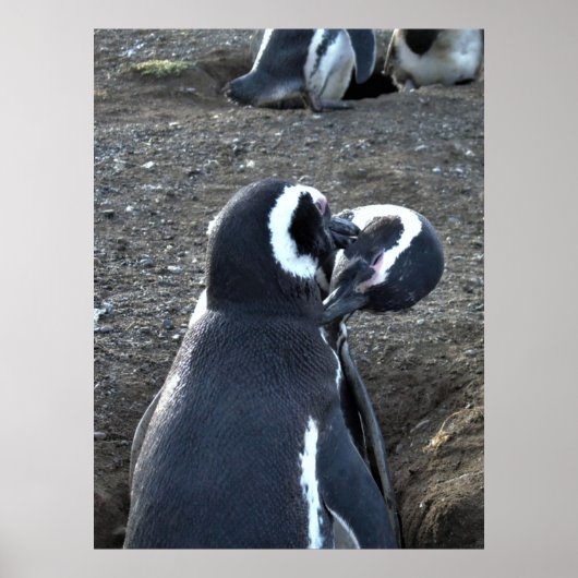 Poster Préparation des partenaires (Devant)