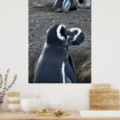 Poster Préparation des partenaires (Cuisine)