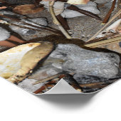 Poster Préparer une chasse préhistorique. (Coin)