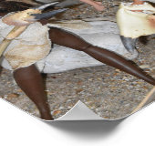 Poster Préparer une chasse préhistorique. (Coin)