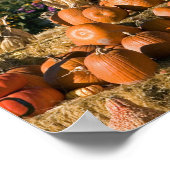 Poster Présentation de citrouilles avec des bottes de foi (Coin)