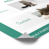 Poster Présentation du langage du corps du chat 16 x 20 P (Coin)