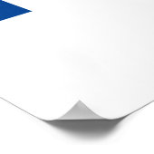 Poster Président Biden Harris 2020 (Coin)