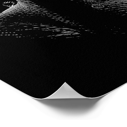 Poster Président James Madison (Coin)