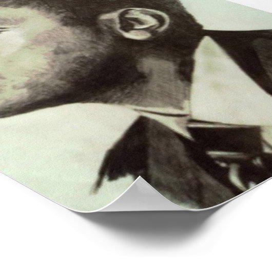 Poster Président Obama (Coin)