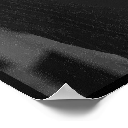 Poster President Obama -- In Black and White (Coin)