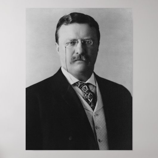 Poster Président Theodore Roosevelt - 1904 (Devant)