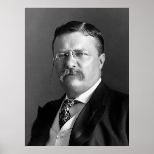 Poster Président Theodore Roosevelt Noir & Blanc