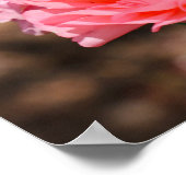 Poster Presse en rose (Coin)