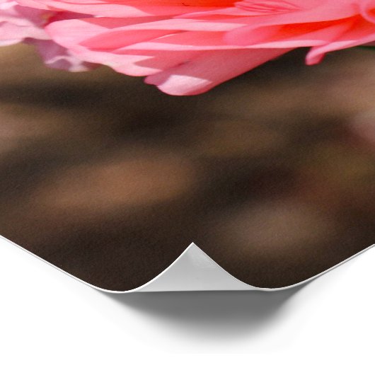 Poster Presse en rose (Coin)