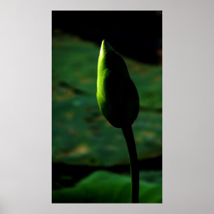 Poster Prêt pour la grandeur