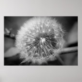 Poster Prêt pour le décollage ! ! ! (Devant)