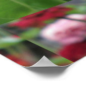 Poster Pretty (Coin)