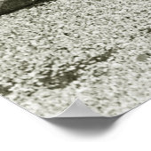 Poster Pretty Girls, 1920s (Coin)