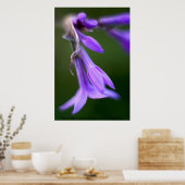 Poster "Pretty Purple Things" par Andrew Gettler (Cuisine)