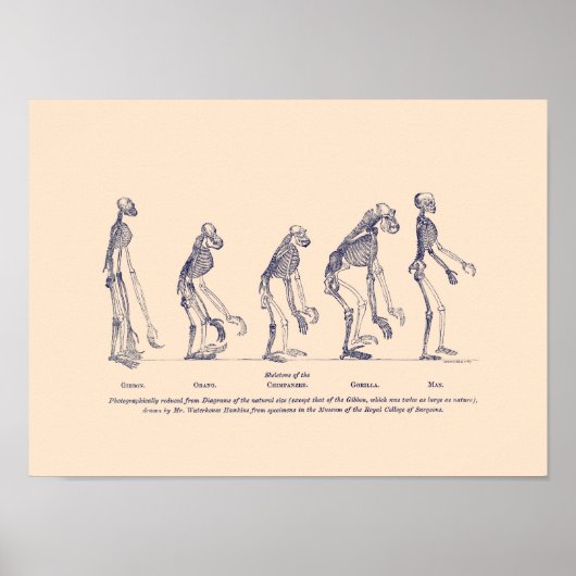 Poster Preuve de la place de l’homme dans la nature (Devant)