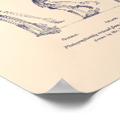 Poster Preuve de la place de l’homme dans la nature (Coin)