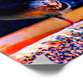 Poster Prévenir les pigeons (Coin)