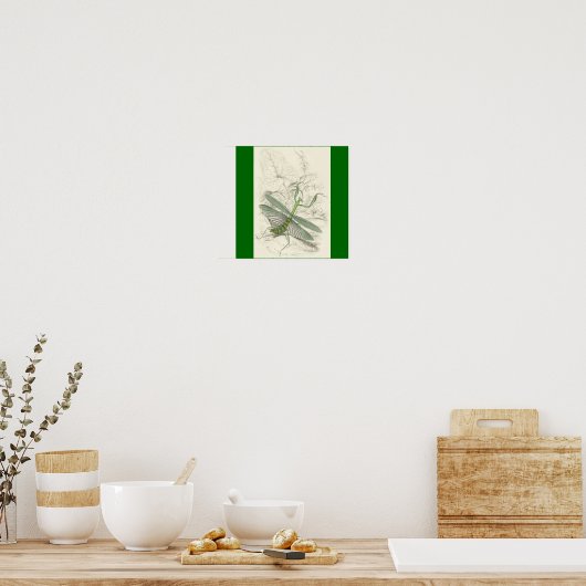 Poster Priant Mantis, Mantis Religiosa (Cuisine)