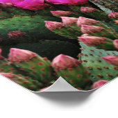 Poster Prickle Pear Cactus en Bloom Père Noël Fe NM (Coin)
