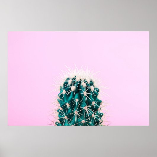Poster Prickley Cactus sur rose (Devant)