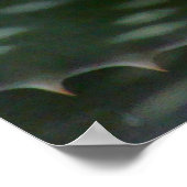 Poster Prickly Aloe Vera (Coin)