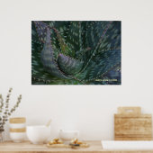 Poster Prickly Aloe Vera (Cuisine)